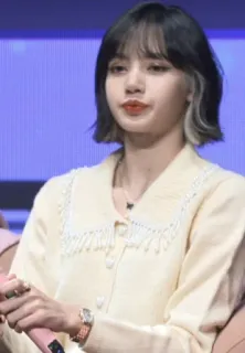 🙎‍♀️ 75a64ddc Lisa K-POP, BLACKPINK, 歌手, アイドル, セレブ, 女性 telegram sticker