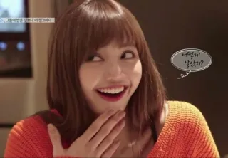 😏 b462feaf 어떻게 알았지? coreano, mulher, sorriso, texto, asiático whatsapp sticker