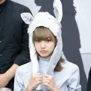 💕 86474a39 Lisa Lisa, Blackpink, K-pop, Thần tượng, Ca sĩ, Người nổi tiếng, Thỏ, Mũ telegram sticker