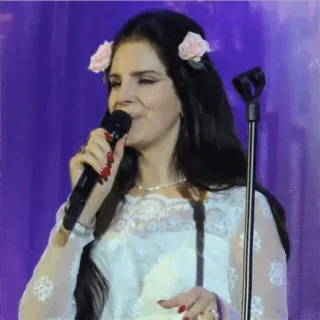 😐 34e4de72 Lana Del Rey Lana Del Rey, chanteuse, musique, fleurs, performance, concert whatsapp sticker