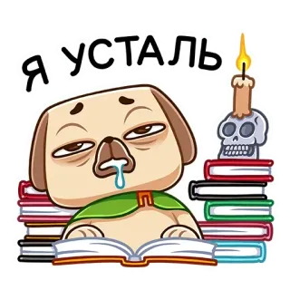 🤤 6cff4b7c Я усталь หมา, เหนื่อย, หมดแรง, อ่านหนังสือ, หนังสือ, เทียน, หัวกะโหลก telegram sticker