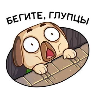 🙈 ee720554 БЕГИТЕ, ГЛУПЦЫ หมา, การ์ตูน, วิ่ง, คำเตือน, ความกลัว, หนี telegram sticker