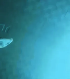 😤 f04e73a3 whatsapp sticker