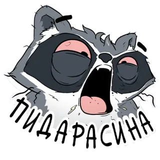 😡 46421997 пидарасина raton laveur, offensant, insulte, russe, dessin animé, animal, autocollant telegram sticker