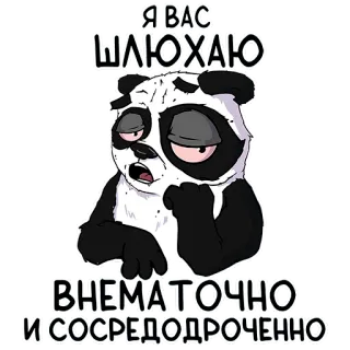 👂 4cd4b0e2 Я ВАС ШЛЮХАЮ ВНЕМАТОЧНО ИСОСРЕДОДРОЧЕННО Panda, Sticker, Dessin animé, Russe, Offensant, Fatigué telegram sticker