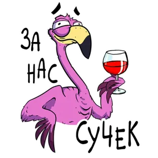 💅 d0e33ca6 ЗА НАС СУЧЕК flamant rose, vin, dessin animé, humour, animal telegram sticker
