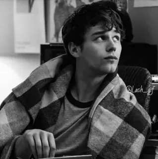 ▪️ 4832e83b @Lash_gif hombre, manta, adulto joven, retrato, interior telegram sticker