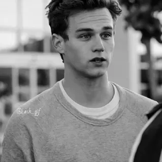 ▪️ 50faa315 @lash_gf hombre, retrato, adulto joven, persona, escala de grises telegram sticker