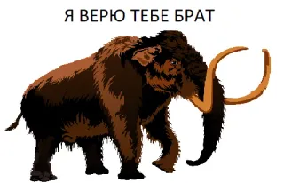 🗣 5af212ee Я ВЕРЮ ТЕБЕ БРАТ mammut, animale, era glaciale, russo, testo, amicizia telegram sticker