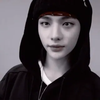 📎 3e13076c personne, portrait, sweat à capuche, visage, homme, style telegram sticker