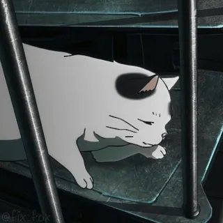 🥱 07e9dd71 @fix_fox kat, slapen, wit, zwart, dier, trap, cartoon telegram sticker