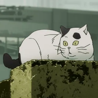 😳 7bb287ec kat, dier, huisdier, cartoon, illustratie, huisdier telegram sticker