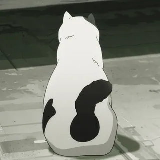 🐱 e3f2d9aa kat, dier, huisdier, wit, zwart, zittend telegram sticker