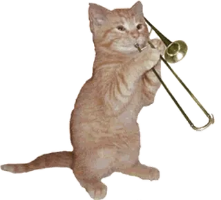 🎺 c89277cd 고양이, 트롬본, 음악, 동물, 새끼고양이, 악기, 애완동물, 귀여운 telegram sticker