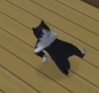 🕺 ad6316aa 猫, 可爱, 动物, 宠物, 黑白, 跳舞 whatsapp sticker