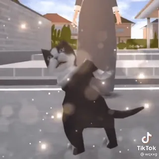 🌟 fbde14fa 猫, 可爱, 动物, 贴纸 whatsapp sticker