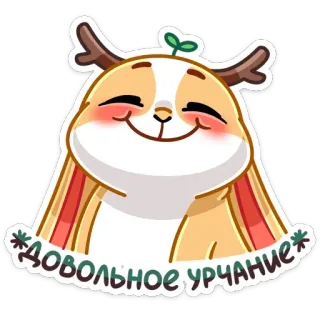 ☺️ 034493a4 ДОВОЛЬНОЕ УРЧАНИЕ autocollant, mignon, animal, bois, souriant, joyeux, lapin telegram sticker