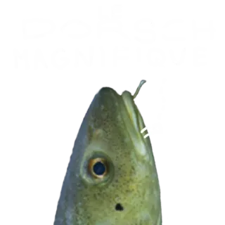 Le Dorsch magnifique telegram stickers