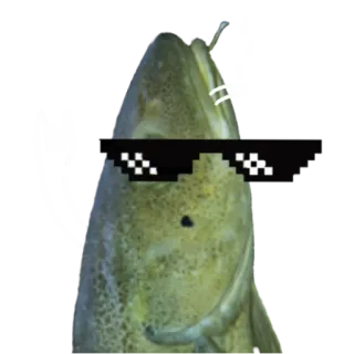 😎 5f18f186 fisch, sonnenbrille, deal with it, meme, tier, aufkleber telegram sticker