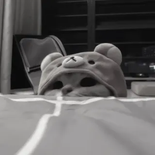 🪜 b956cae2 gato, animal, animal de estimação, chapéu de urso, fofo, cama, dormir telegram sticker