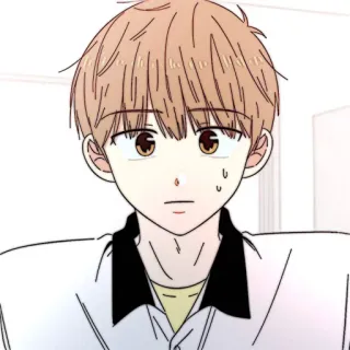 📜 08652a5b telegram sticker