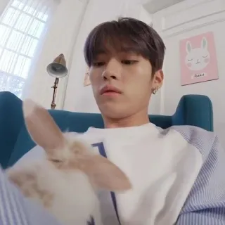 🪐 c7a56f65 pessoa, coelho, interior, sentado, animais domésticos, mamífero, animal de estimação telegram sticker