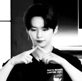 ::⛓ lee know by @lanasticks telegram stickers