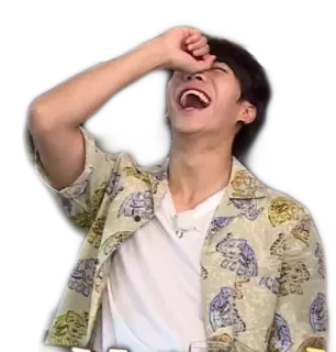 🤣 1f275eb5 tertawa, bahagia, orang, tersenyum, kebahagiaan telegram sticker