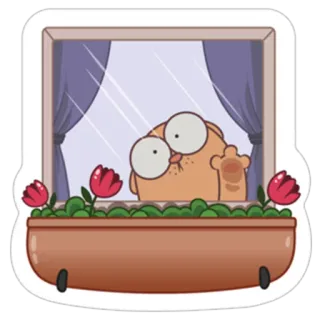 🙀 c20d9e03 Katze, Fenster, Blume, lustig, Cartoon, Stinkefinger whatsapp sticker