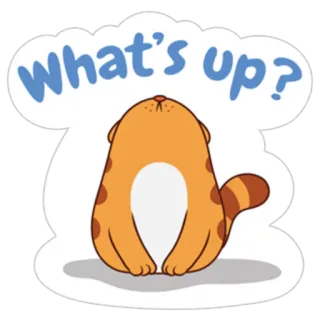 😃 ec0f2612 What's up? Katze, Frage, Orange, Süß, Tier whatsapp sticker