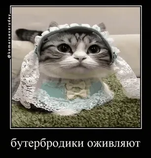 🐱 5368f69a бутербродики оживляют 猫, かわいい, 面白い, サンドイッチ, 生き生きとさせる, サンドイッチ telegram sticker