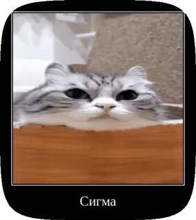 Большой пак Комару @mvborys104 telegram stickers