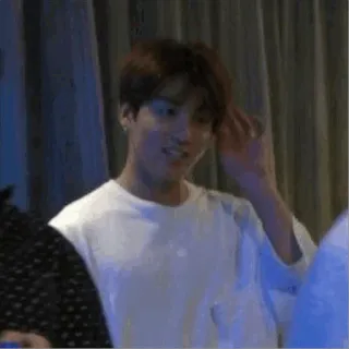 🍍 1d240de0 telegram sticker