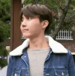 🍍 2e6bc407 telegram sticker