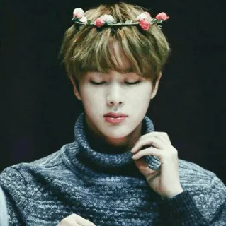 ✨ 9fb4eae8 Jin kpop, idol, mahkota bunga, bts, penyanyi, selebriti telegram sticker