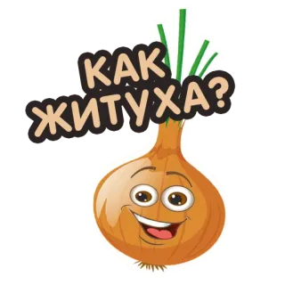 ❓ b209fa8d КАК ЖИТУХА? 洋葱, 蔬菜, 卡通, 问候, 俄语, 文本 telegram sticker