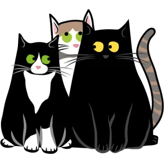 🙄 8af680f5 gatti, animali, animali domestici, animali da compagnia telegram sticker