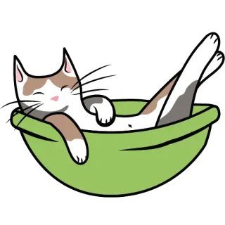 😴 a44c0e4a gatto, animale, animale domestico, rilassarsi, ciotola, carino telegram sticker