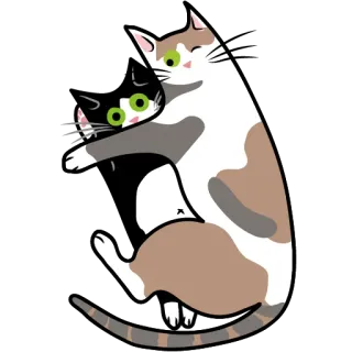 😚 ba03b9b5 gatto, gatti, gattino, abbraccio, carino, animali telegram sticker