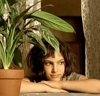 😊 f33d5f76 Mathilda Léon: The Professional 映画, キャラクター, 女の子, 窓, 植物 whatsapp sticker