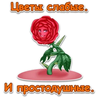 👌 bcbd6c91 Цветы слабые. 
И простодушные. Blume, Rose, Cartoon, Illustration telegram sticker