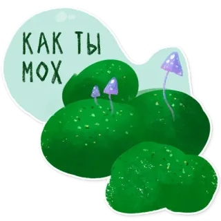 😶 56a6408b КАК ТЫ МОХ lumut, jamur, hutan, alam, tanaman whatsapp sticker