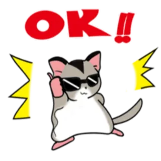 👌 61ff24aa OK!! chat, cool, ok, autocollant, lunettes de soleil, mignon telegram sticker
