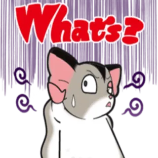 ❓ 6c247587 What's? chat, question, mignon, confus, animal, autocollant telegram sticker