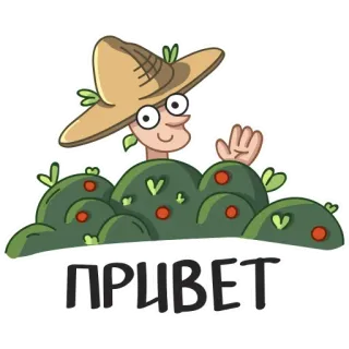😙 e0a83d53 ПРИВЕТ 挨拶, こんにちは, ロシア, 人, 茂み, 手を振る telegram sticker