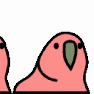 🕺 4c2b3339 vogel, papegaai, roze, schattig, dier telegram sticker