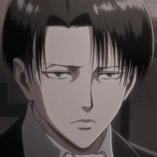 🦅 f53df607 Levi Ackerman Attack on Titan Levi, Attack on Titan, anime, manga, character, Ackerman whatsapp sticker