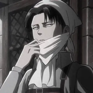 🍷 5410796c Levi Ackerman Attack on Titan Anime, Personaje, Levi Ackerman, Ataque a los Titanes, Limpieza, Manga telegram sticker