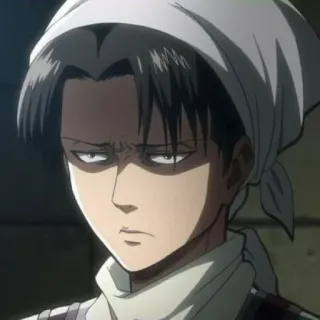 😒 c8547522 Levi Ackerman Attack on Titan Anime, Levi, Attack on Titan, Manga, Putzen, Charakter, Animation whatsapp sticker