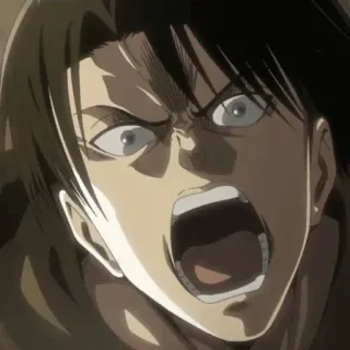 Levi Ackerman @shingeki_no_kyojin_aot whatsapp stickers